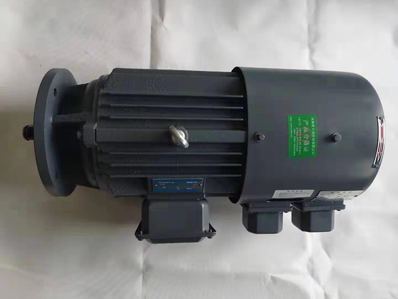 非標變頻制動(dòng)電機